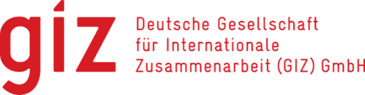 GIZ logo